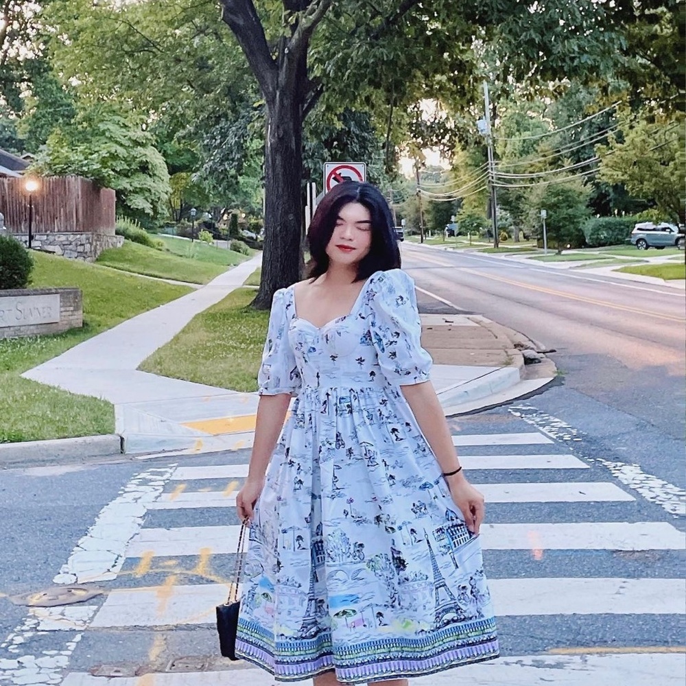 Seine dress (paris details)